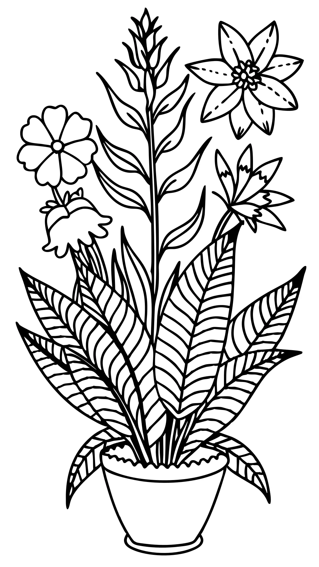 coloring pages plant